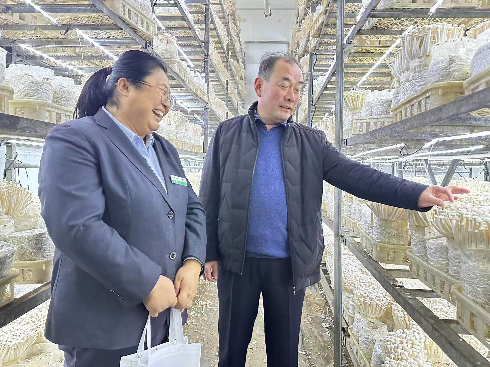 济南蓬生负责人向农行客户经理介绍“液体生态技术”。  马金星 摄影