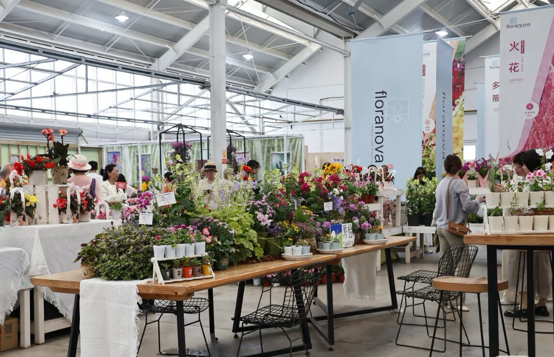 虹越花卉展示各类产品。