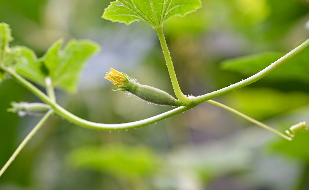 DSC_8860.JPG