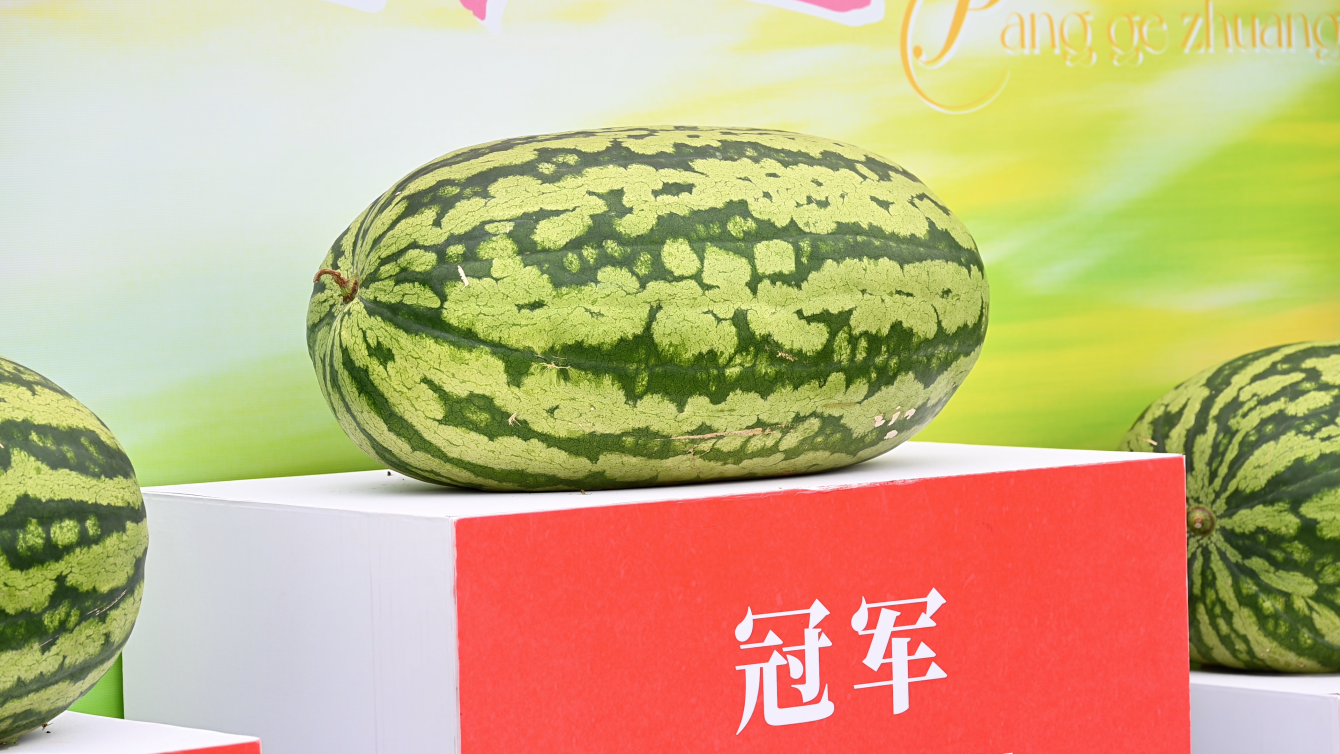 a2a55df36565bf74e0005d8bf645d8e6.png