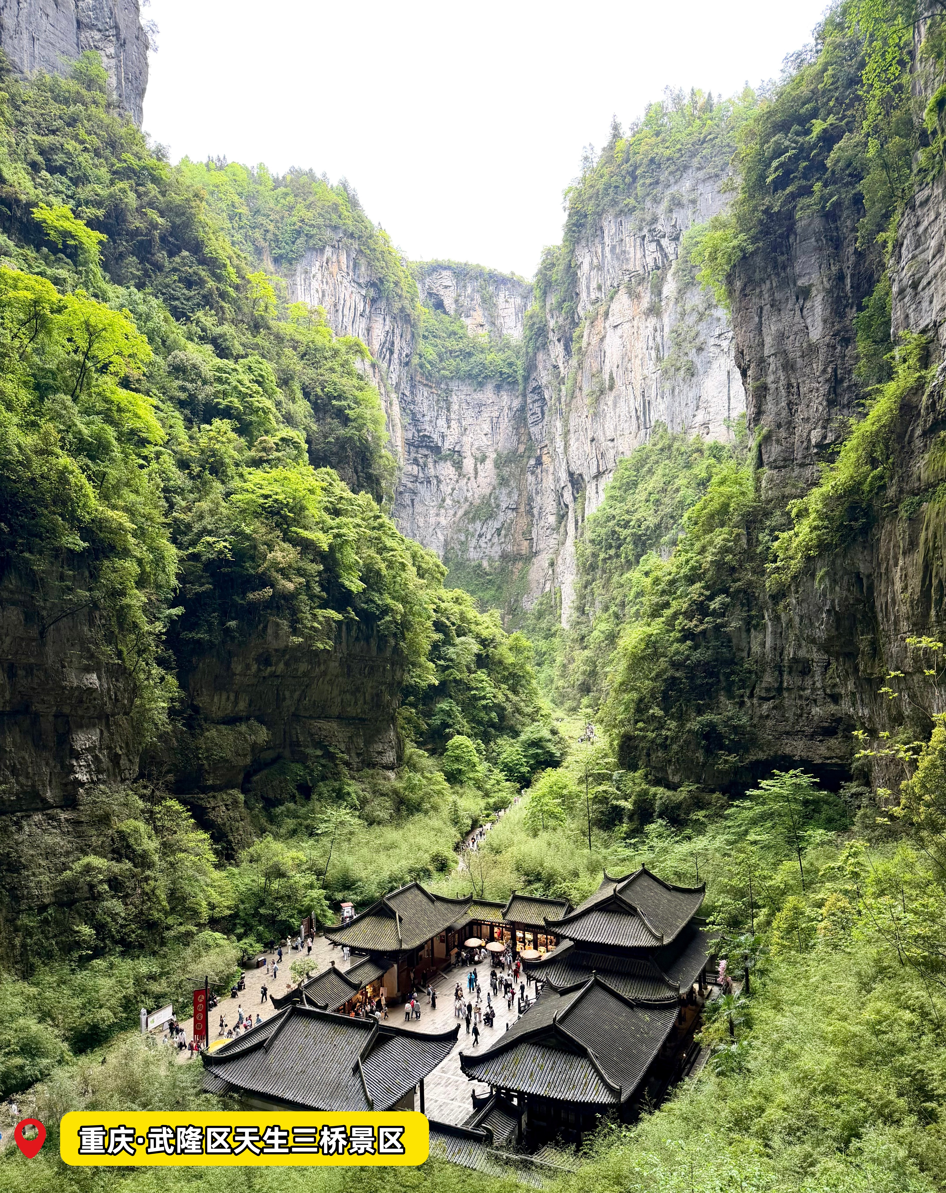 摄影：农行广州北秀支行 许迪琦