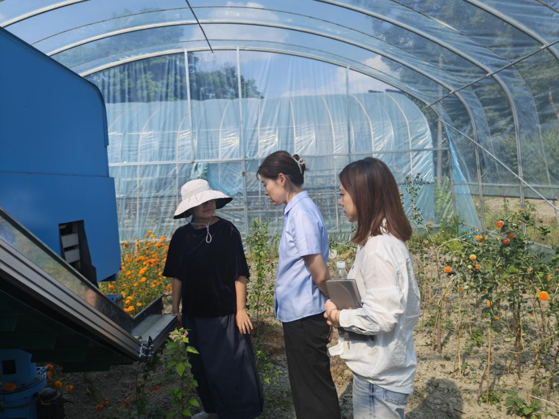 农行客户经理实地观摩机器人采摘。