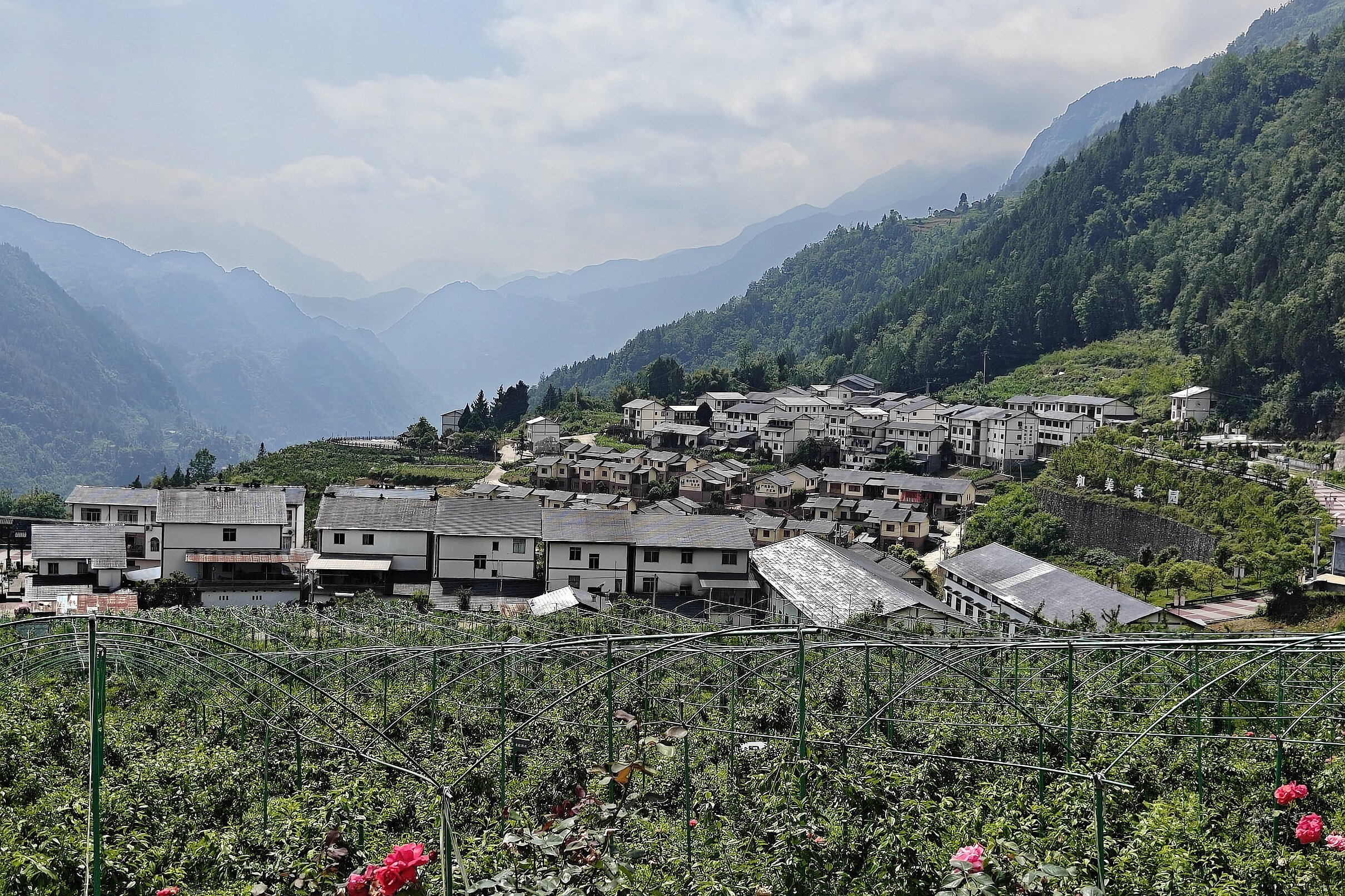 茶山村风光。