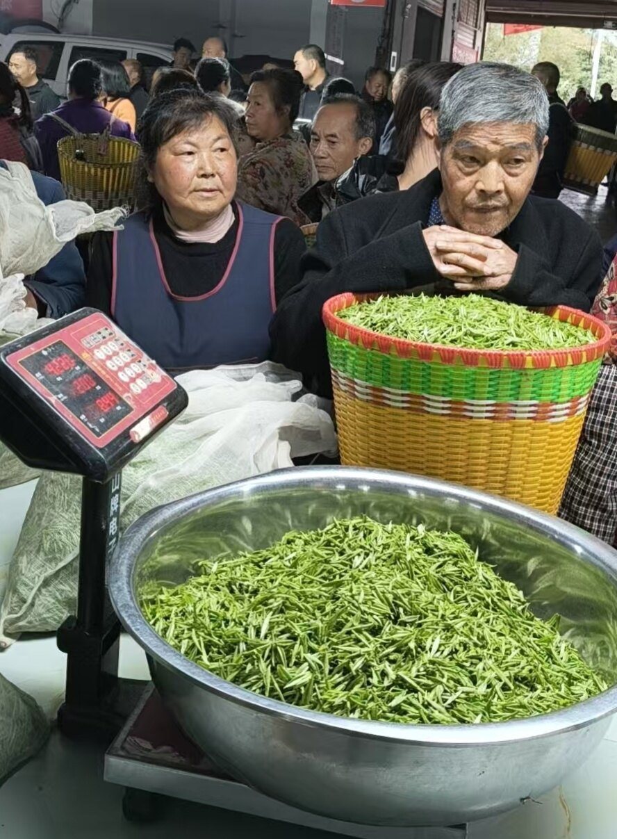 微信图片_20260529144745_37_835.jpg