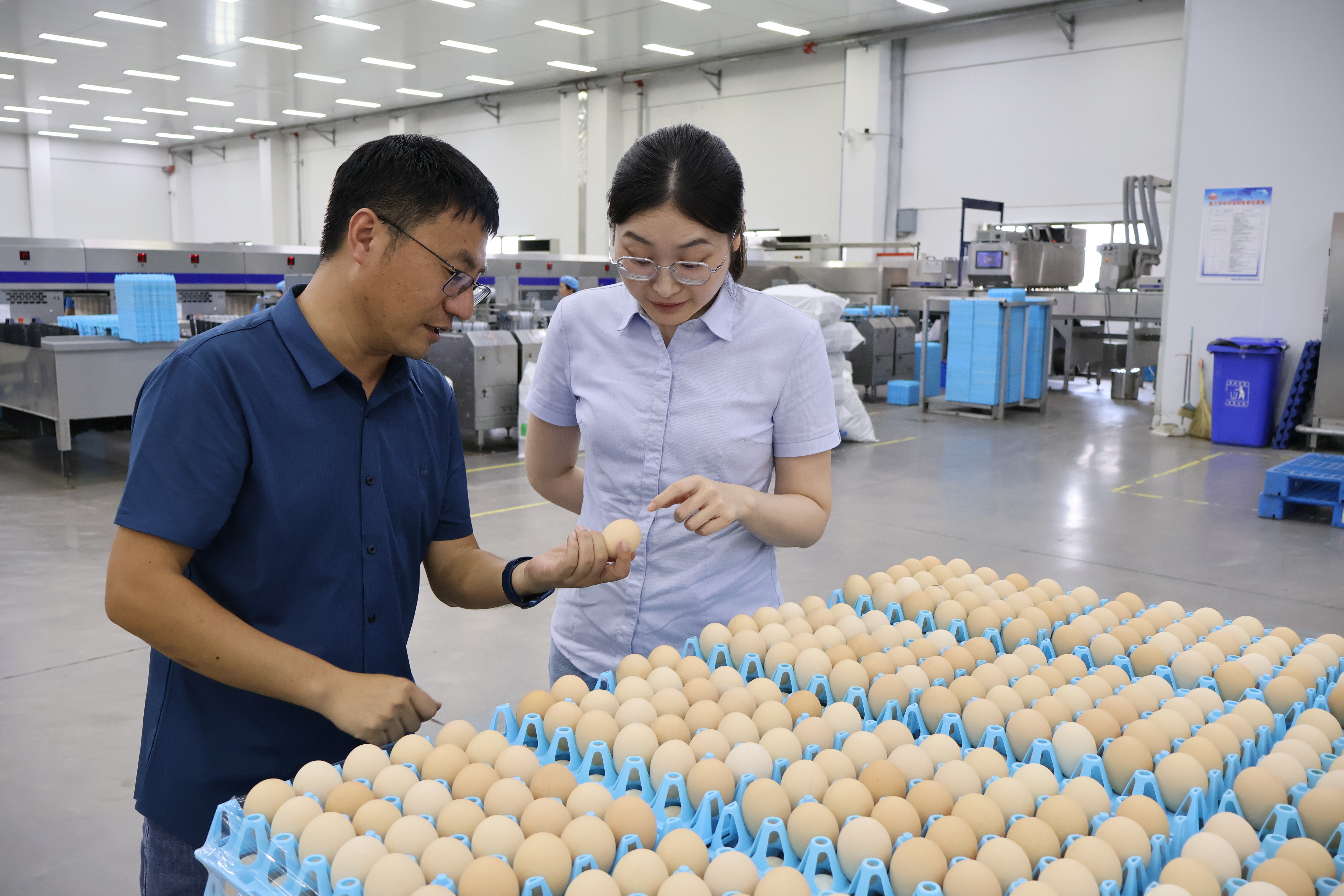 农行客户经理在鸡蛋车间实地考察。 农行客户经理在鸡蛋车间实地考察。